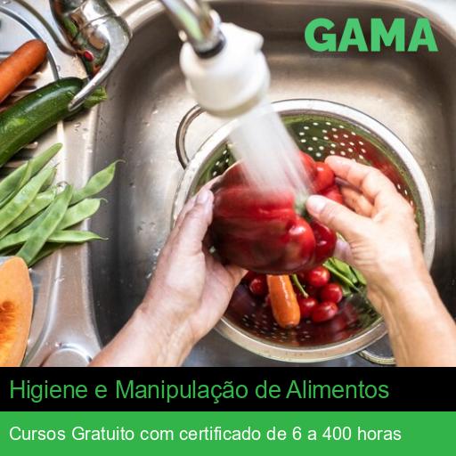 Higiene e Manipulação de Alimentos